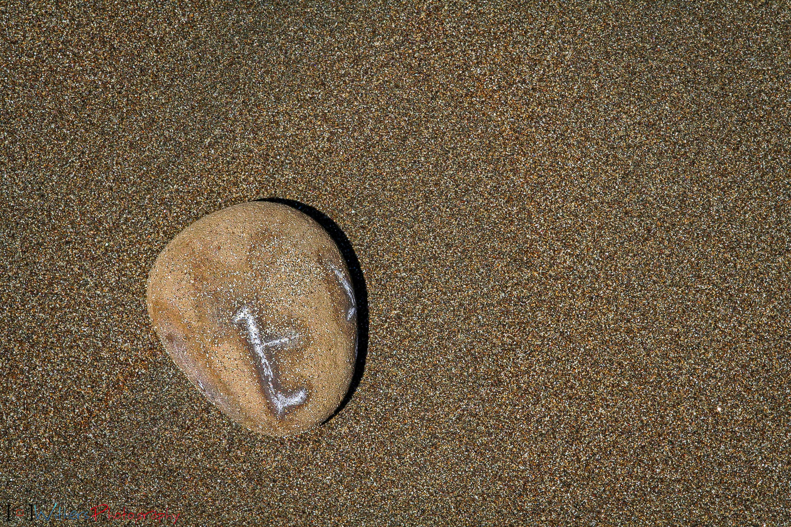 Playa-Tortuga-Rock.jpg